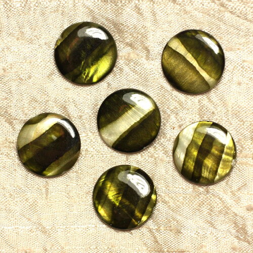 5pc - perles coquillage nacre palets ronds plats 20mm vert zébré irisé kaki olive - 4558550031723
