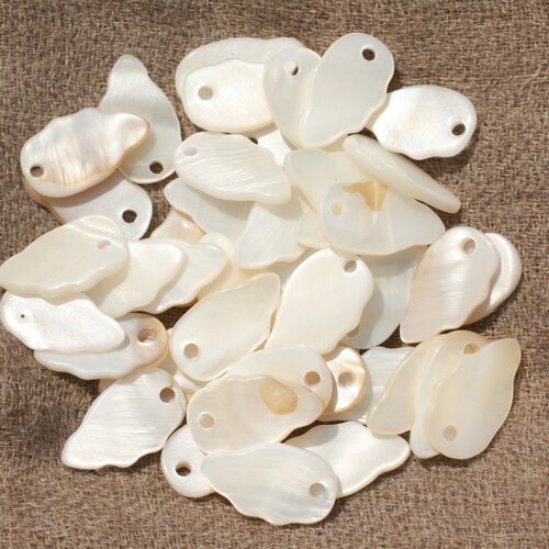 10pc - breloques pendentifs coquillage nacre feuilles ailes 16mm blanc irisé - 4558550020109