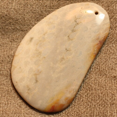 N13 - pendentif pierre corail fossile 55mm goutte ovale blanc beige gris marron - 4558550022240