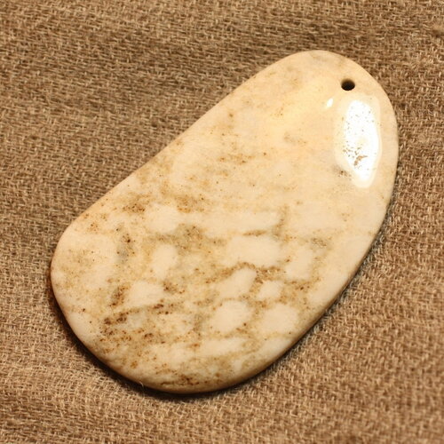 N4 - pendentif pierre corail fossile 55mm goutte ovale blanc beige gris marron - 4558550021564