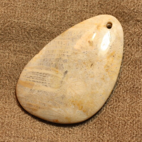 N3 - pendentif pierre corail fossile 55mm goutte ovale blanc beige gris marron - 4558550021892