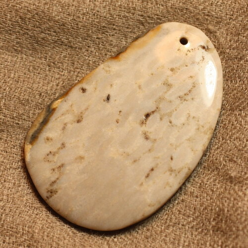 N1 - pendentif pierre corail fossile 55mm goutte ovale blanc beige gris marron - 4558550021762