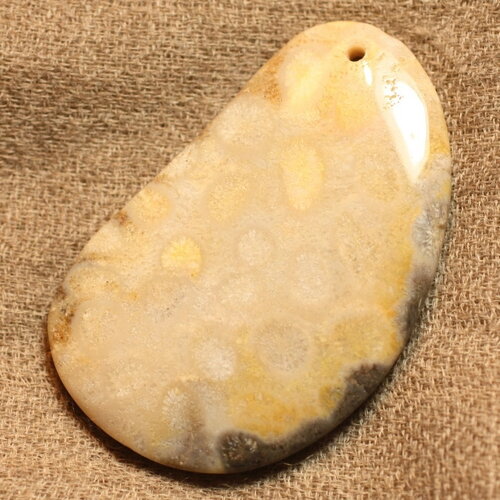 N8 - pendentif pierre corail fossile 55mm goutte ovale blanc beige gris marron - 4558550022370