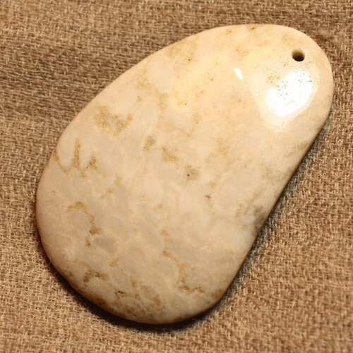 N2 - pendentif pierre corail fossile 55mm goutte ovale blanc beige gris marron - 4558550021724