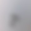 Lot de 26 coupelles fleurs