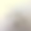 Lot de 150 coupelles filigranées