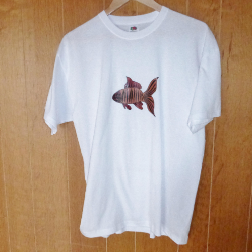 T-shirt coton poisson marron et bordeaux pour homme  s-xxl