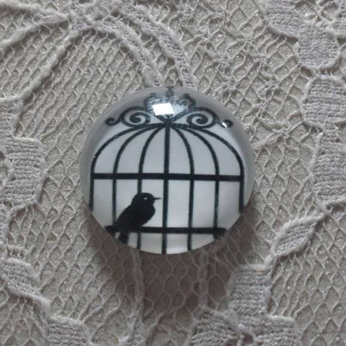 Cabochon rond en verre 20mm oiseaux 007 