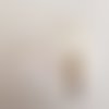 Plume 16 cm n°02 blanc