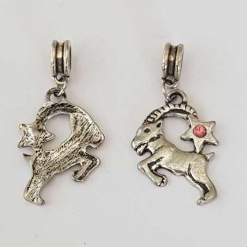 Breloque signe zodiaque capricorne métal argenté n°05 avec strass