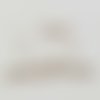 Fermoir complet 38 x 2 mm argent x 2 pour cuir de 1 mm