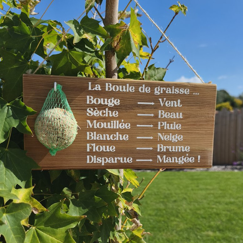 Mangeoire oiseaux extérieure en bois – support boule de graisse – baromètre humoristique jardin