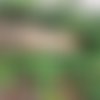 Mangeoire oiseaux extérieure en bois – support boule de graisse – baromètre humoristique jardin