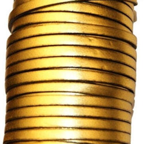 Cuir lanière plat 5 mm doré,vendu par 20 cm