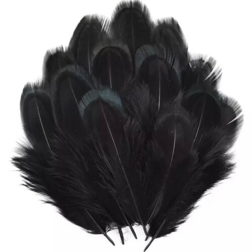 Plumes de faisan,4 à 8 cm vendu par 10