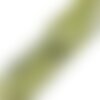 Perle tube  jade d'australie lot de 20 perles