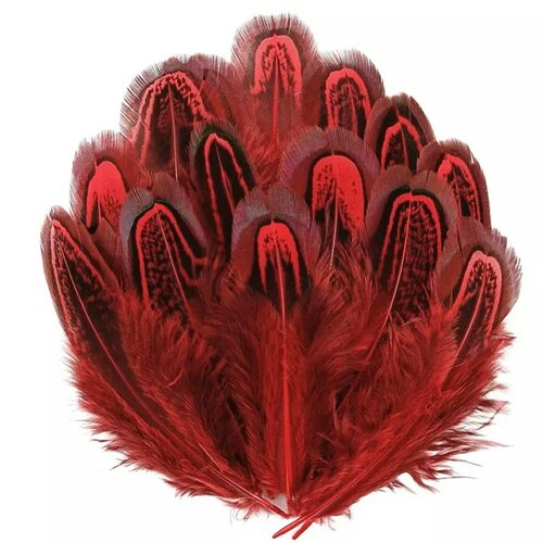 Plumes de faisan,4 à 8 cm vendu par 10