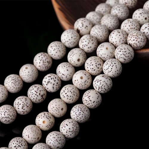 Naturel plante graine xingyue bodhi, 10 mm,lotus bodhi prayer mala beads,lot de 20 perles