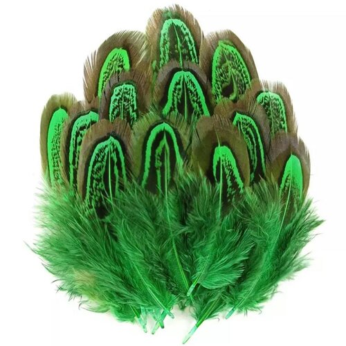 Plumes de faisan,4 à 8 cm vendu par 10