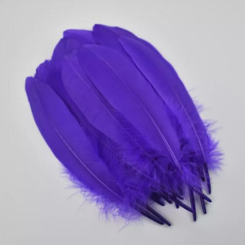 Plume violet  6-8 pouces/15-20cm, vendu par 4