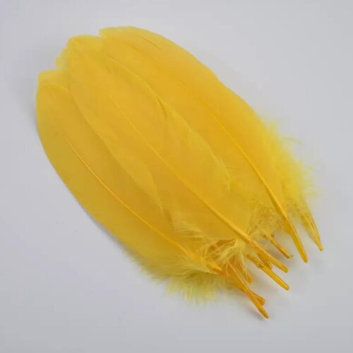 Plume jaune d'or 6-8 pouces/15-20cm, vendu par 4