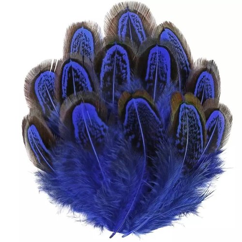 Plumes de faisan,4 à 8 cm vendu par 10