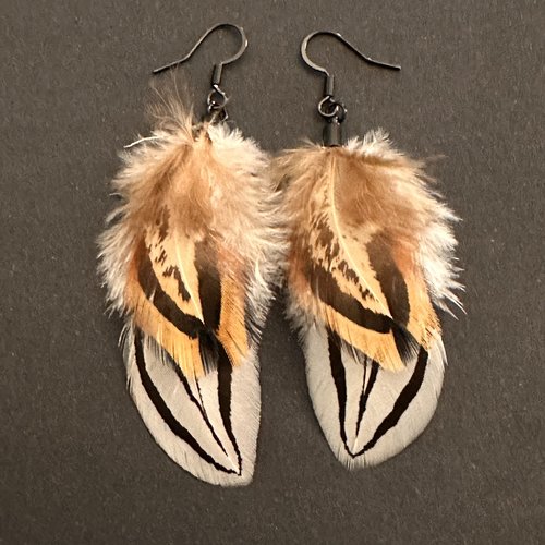 Boucles d'oreilles plumes