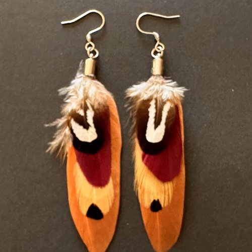 Boucles d'oreilles plumes