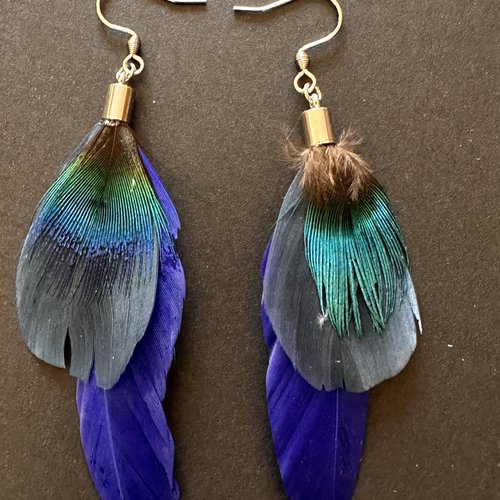 Boucles d'oreilles plumes