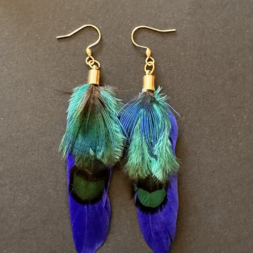 Boucles d'oreilles plumes