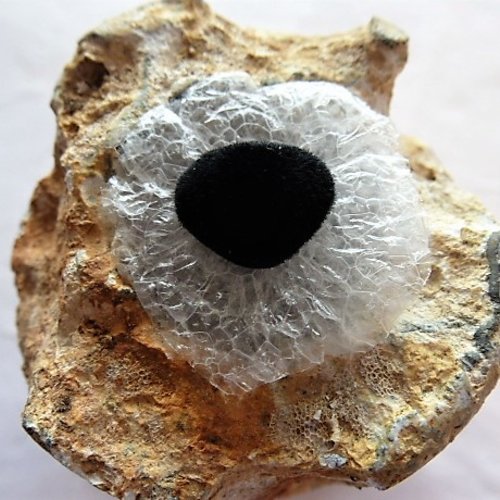 Nez de sécurité 12 x 10 mm velours noir, marque glorex pour jouets et peluches article neuf