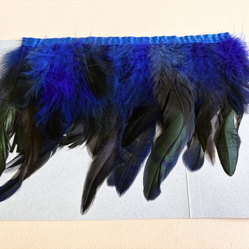 Galon plumes bleues et noires