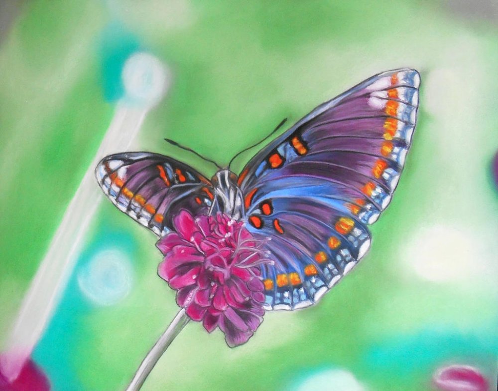 Dessin 24x30 Cm Papillon Aux Pastels Secs