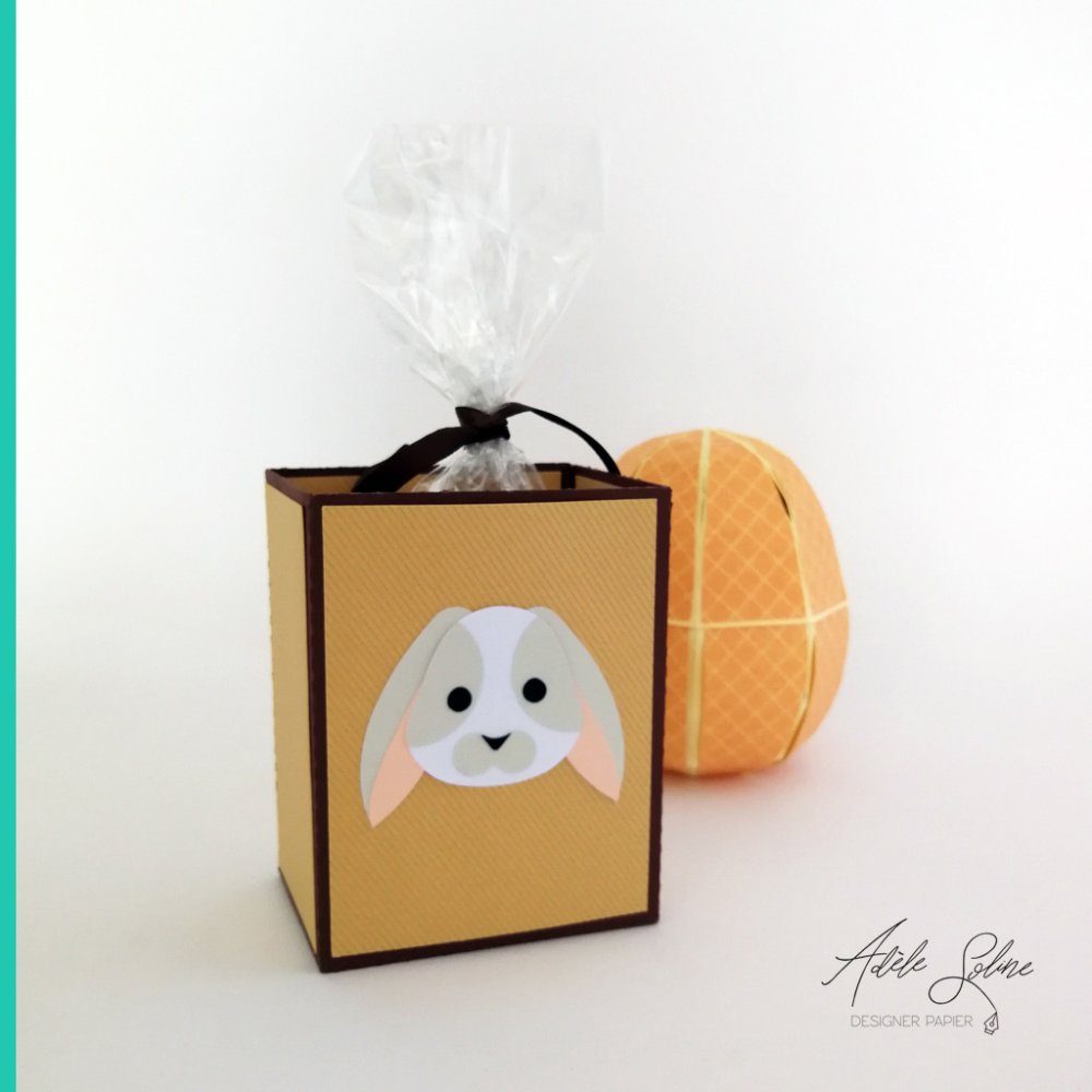 Cookies Box Theme Animaux Singe Lion Renard Ours Ane Cochon Lapin Poule Poussin Anniversaire Bapteme Lot De 4 Boites Un Grand Marche