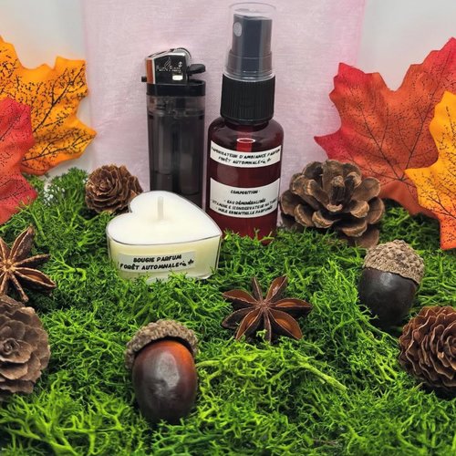 Kit senteur automnale parfum "forêt automnale"