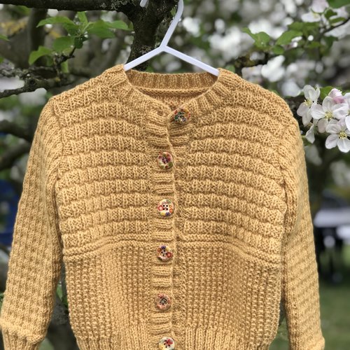 Gilet en laine