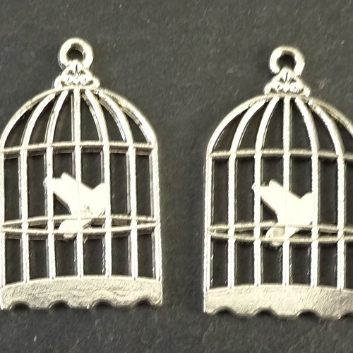 Breloques cage oiseau, x 2, appr.0127