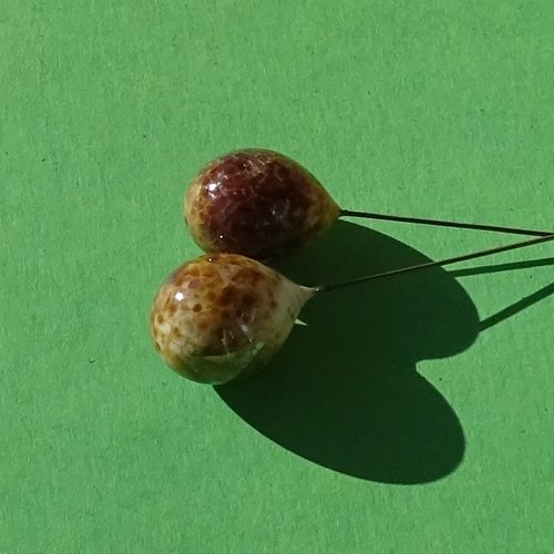 Lot 2 headpins en verre filé, lampwork, verre de murano, perl.6356