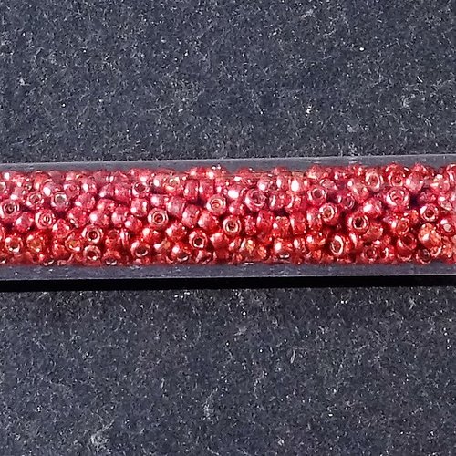 Perles rocaille perl.3142