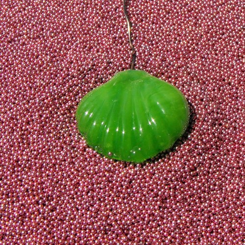 Perle en verre de murano perl.2137