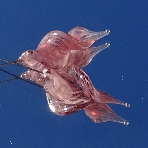 Duo de headpins en verre filé, lampwork,perl.6573