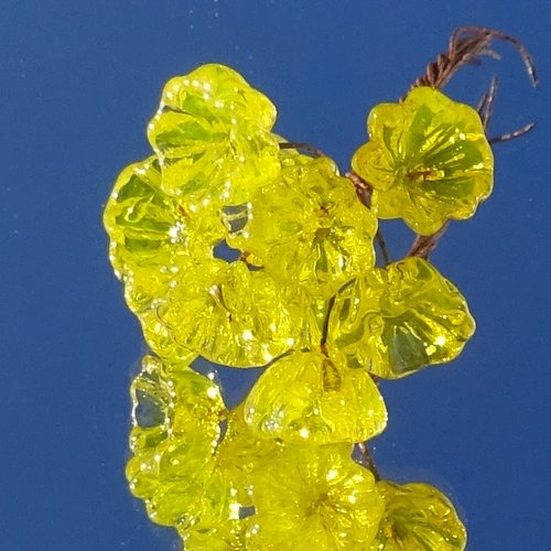 10 headpins en verre filé, lampwork, verre de murano, perl.6583