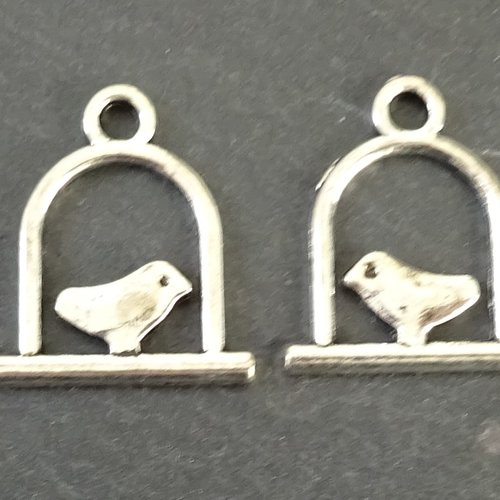 Breloques cage oiseau, x 2, appr.0126