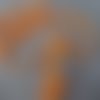 Morceau de 1,60m : passepoil coton uni - fluo orange