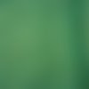 Tissu déco michael miller brillant cm0376-ever-d : fairy frost evergreen - coupon 50 x 55 cm 
