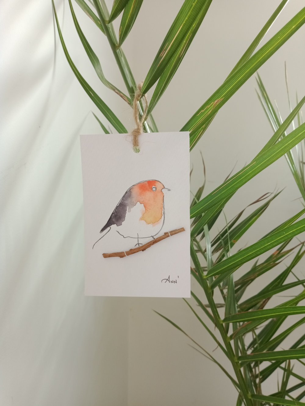 2 En 1 Carte Aquarelle Rouge Gorge Livraison Gratuite Un Grand Marche