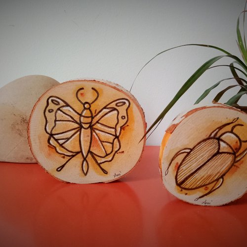 Rondin bois bouleau décoré "papillon", cadre bois papillon, objet decoratif, tableau