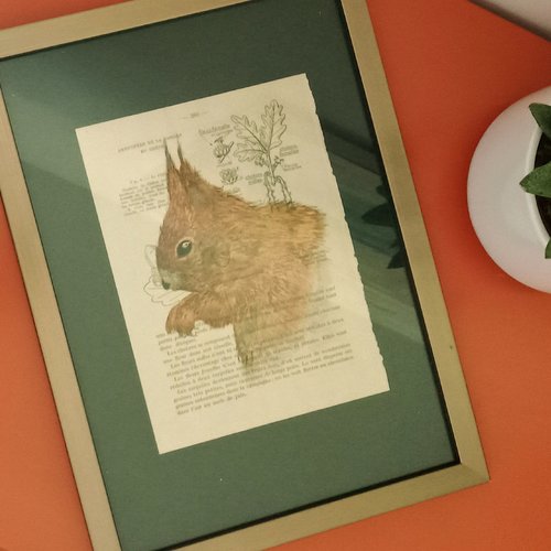 Peinture sur page de livre "écureuil" (livrée sans le cadre), arts graphiques peinture, écureuil dessin, decoration murale