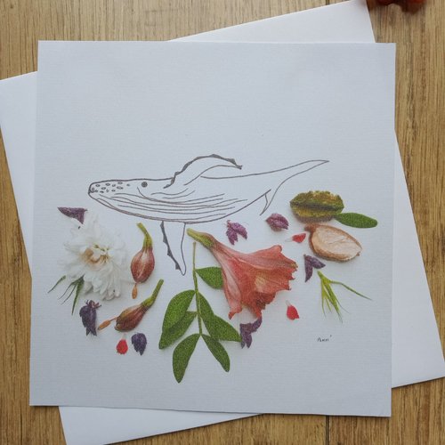 "carte baleine-pétales 1" anniversaire, mariage, photo nature, fleur, carte art, carte crémaillère, arts graphiques photo
