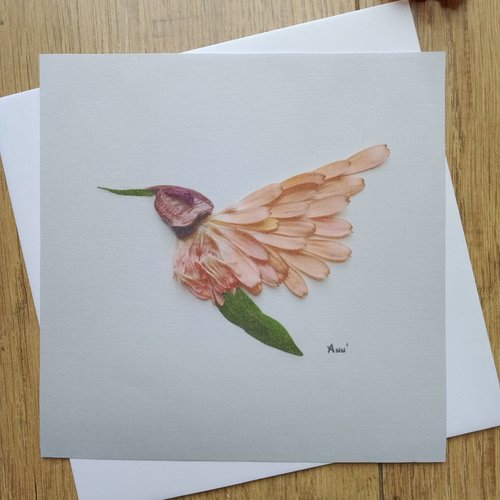"carte colibri-pétales 1" anniversaire, mariage, photo nature, fleur, carte art, carte crémaillère, arts graphiques photo